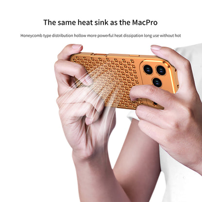 Alloy Flapper Aromatherapy Case