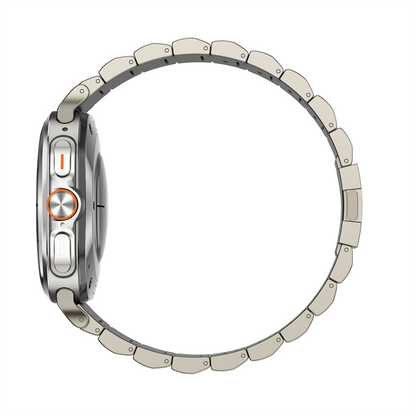 Luxury Edition-Magnetic Band